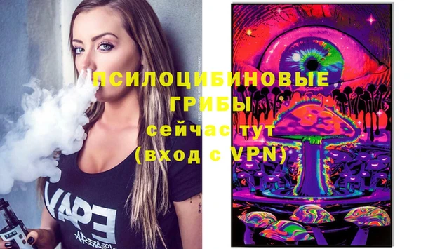 твердый Белокуриха