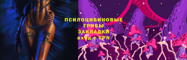 ГАЛЛЮЦИНОГЕННЫЕ ГРИБЫ Баксан