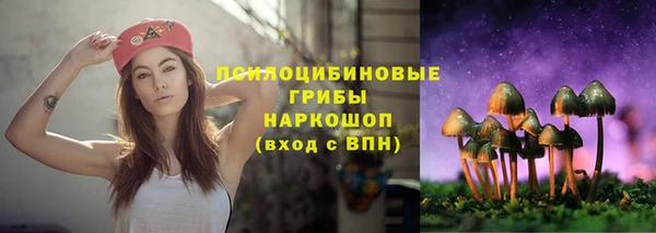 ГАЛЛЮЦИНОГЕННЫЕ ГРИБЫ Баксан
