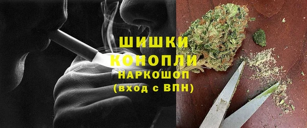 ГАЛЛЮЦИНОГЕННЫЕ ГРИБЫ Баксан