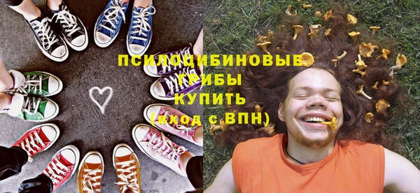 твердый Белокуриха