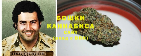 ГАЛЛЮЦИНОГЕННЫЕ ГРИБЫ Баксан