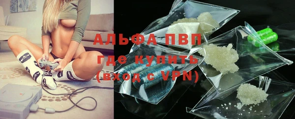 ГАЛЛЮЦИНОГЕННЫЕ ГРИБЫ Баксан