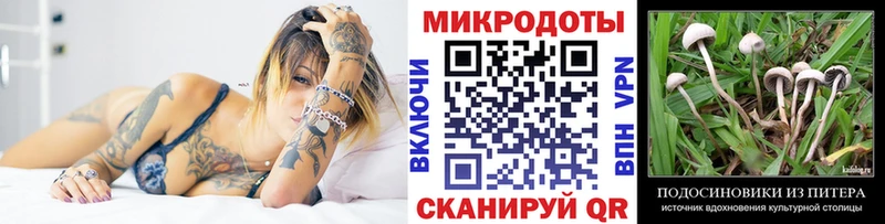где найти наркотики  Невель  Галлюциногенные грибы Psilocybe 