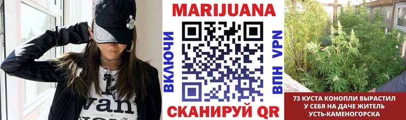МАРИХУАНА марихуана Невель